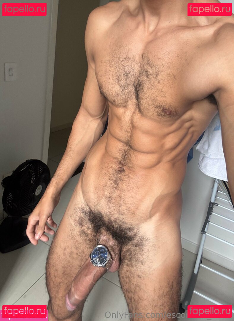 escorpiao_1997 Nude Onlyfans Photo 33