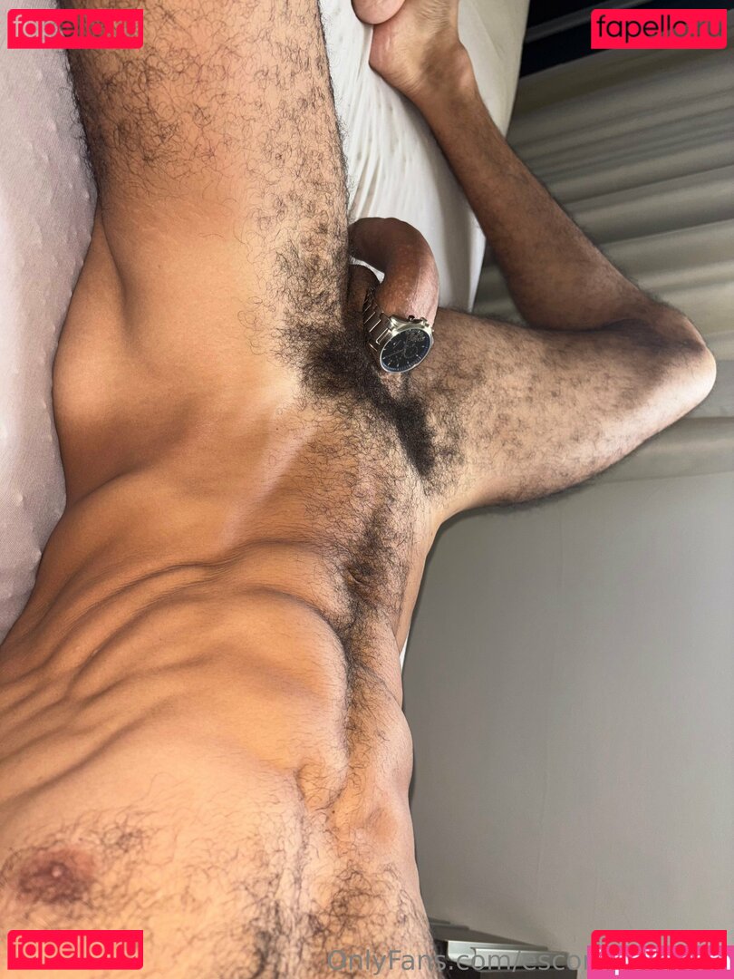 escorpiao_1997 Nude Onlyfans Photo 27