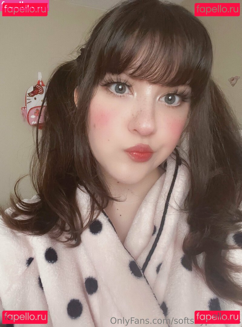 softshyprincess Nude Onlyfans Photo 14
