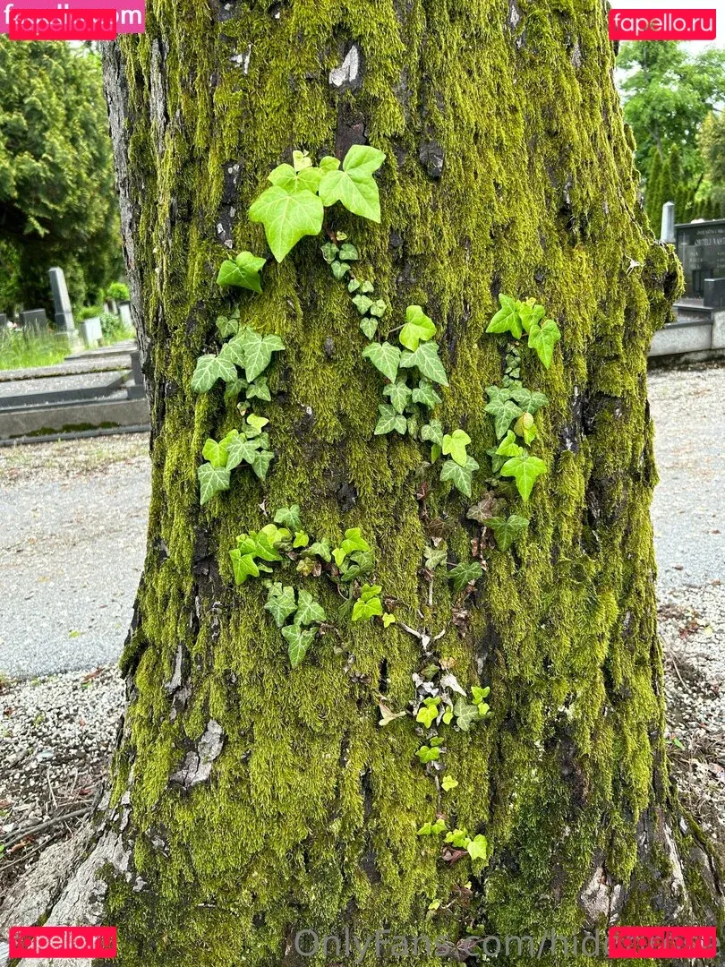 hidorirose Onlyfans Photo Gallery 