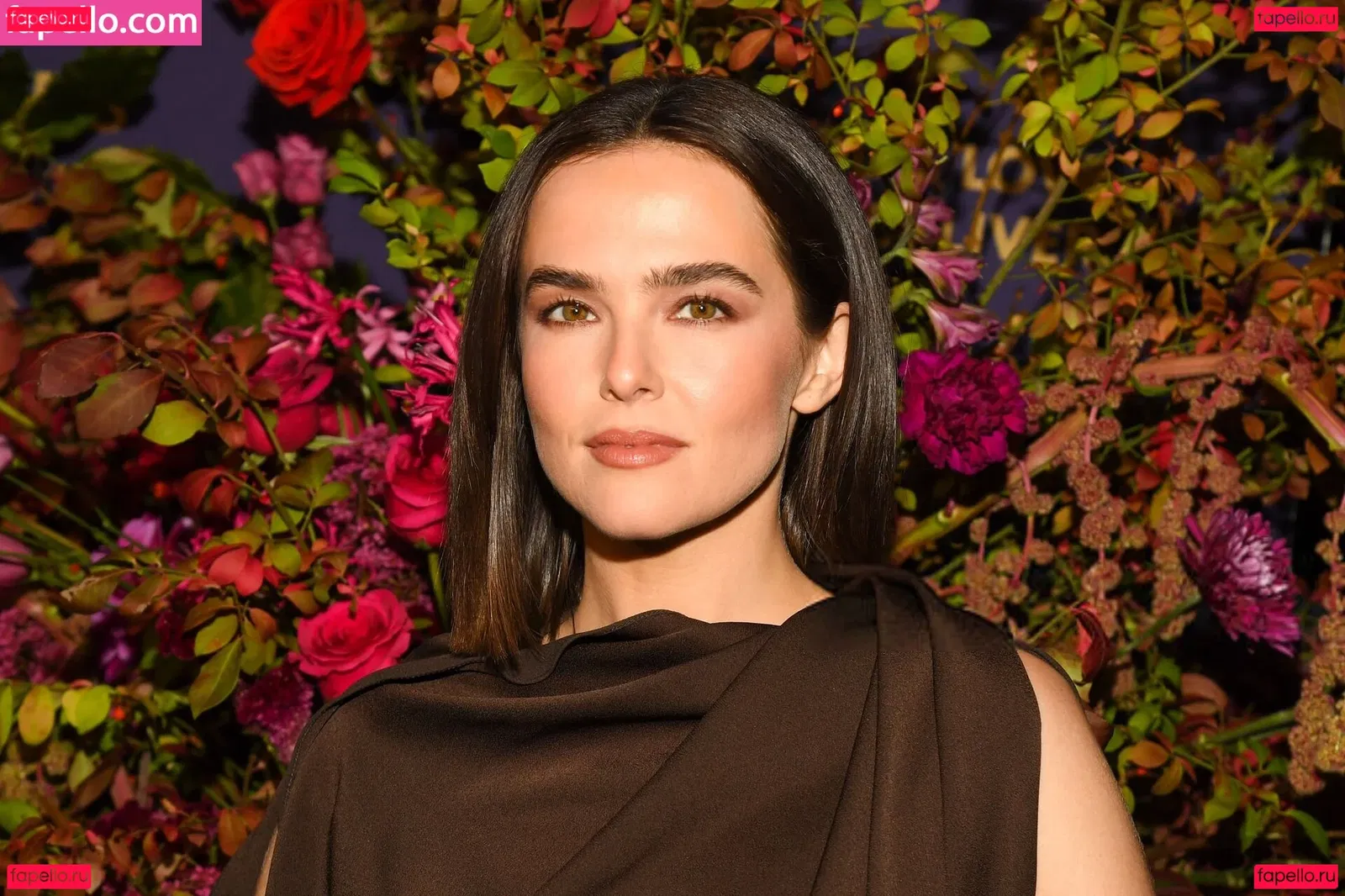 Zoey Deutch Onlyfans Photo Gallery 