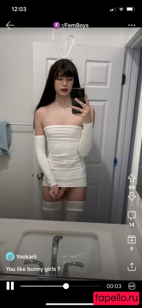 yookarii3 Nude Onlyfans Photo 12