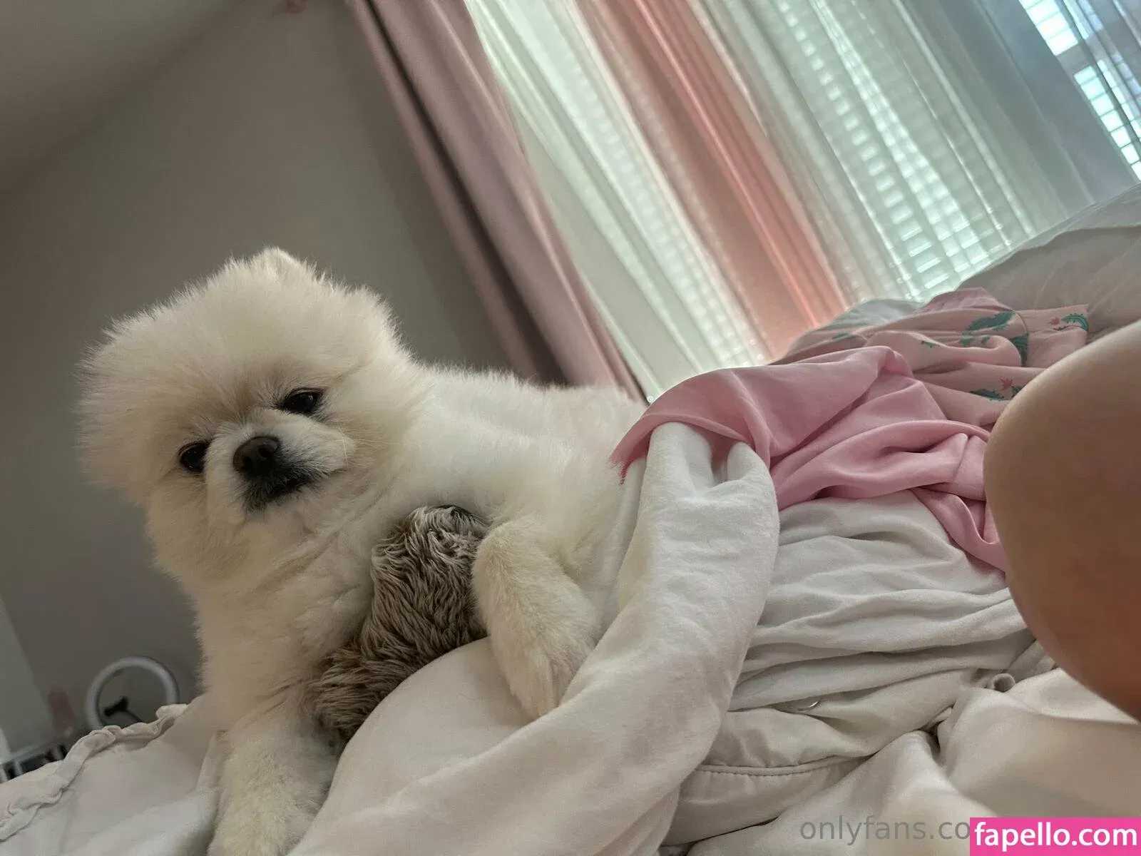 Riley Steele Onlyfans Photo Gallery 