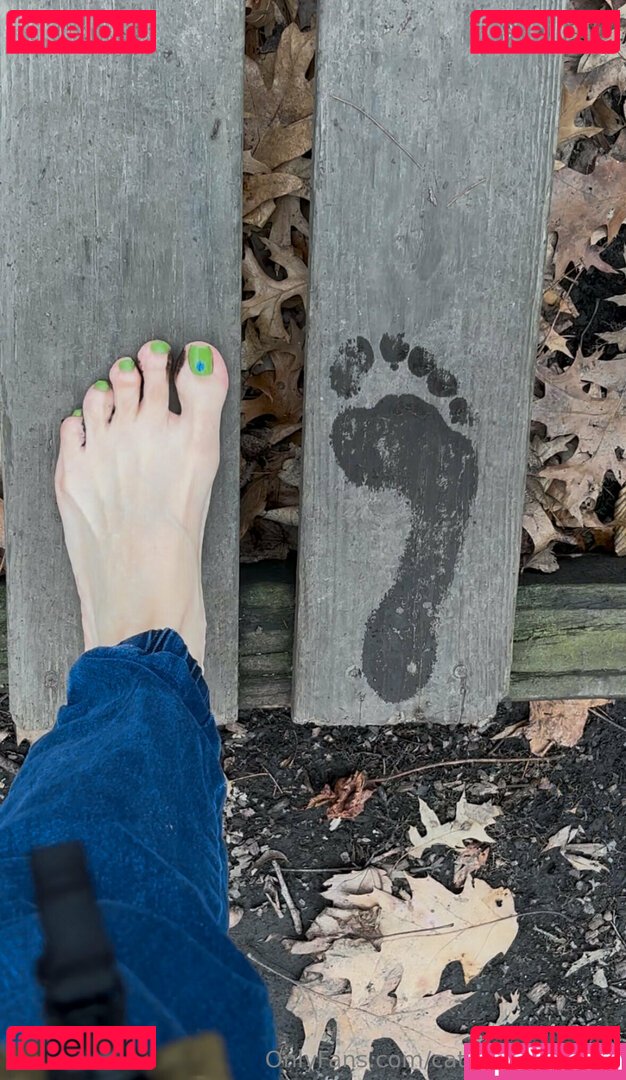 catprincessfeet2 Nude Onlyfans Photo 46