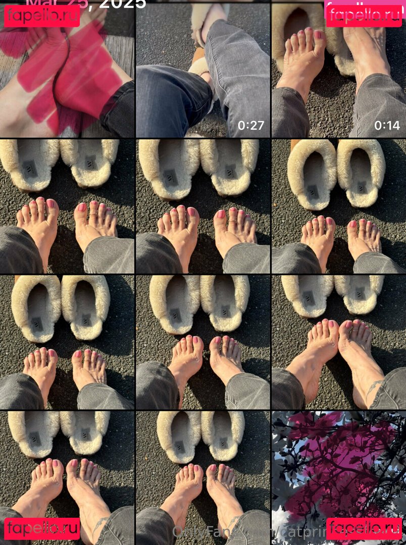 catprincessfeet2 Nude Onlyfans Photo 41