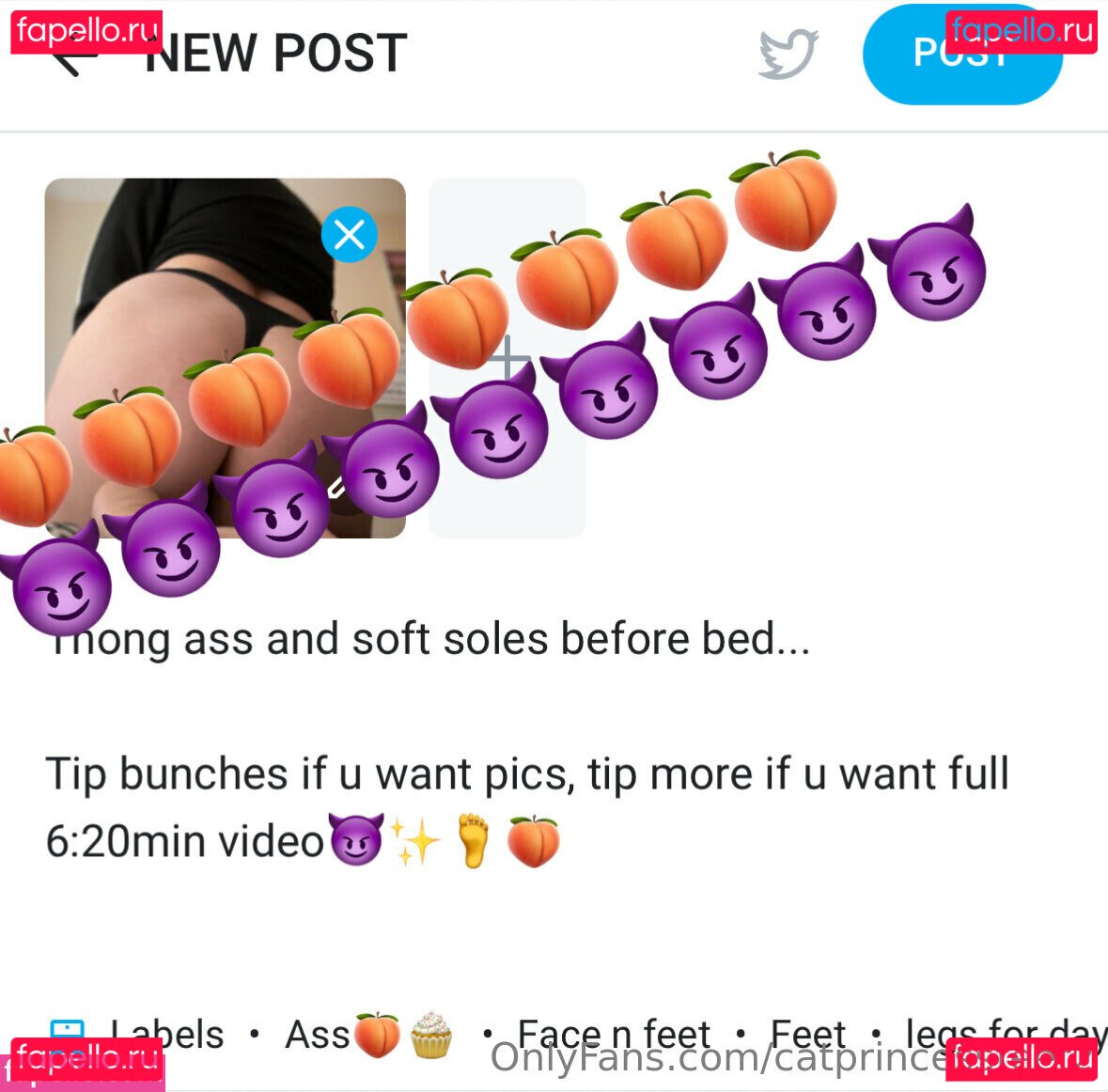 catprincessfeet2 Nude Onlyfans Photo 3