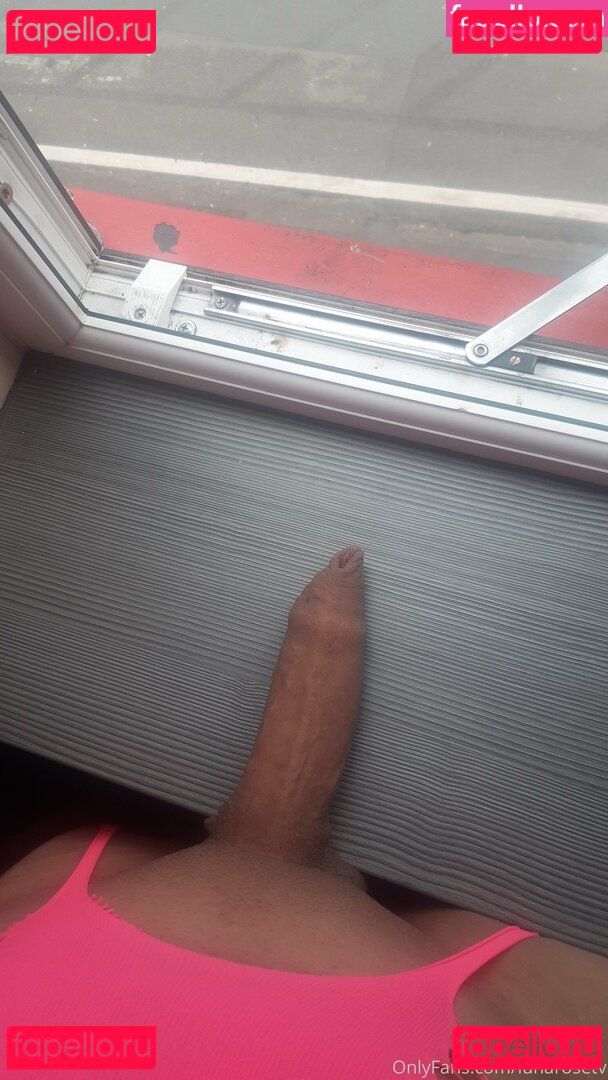lunarosetv Nude Onlyfans Photo 14