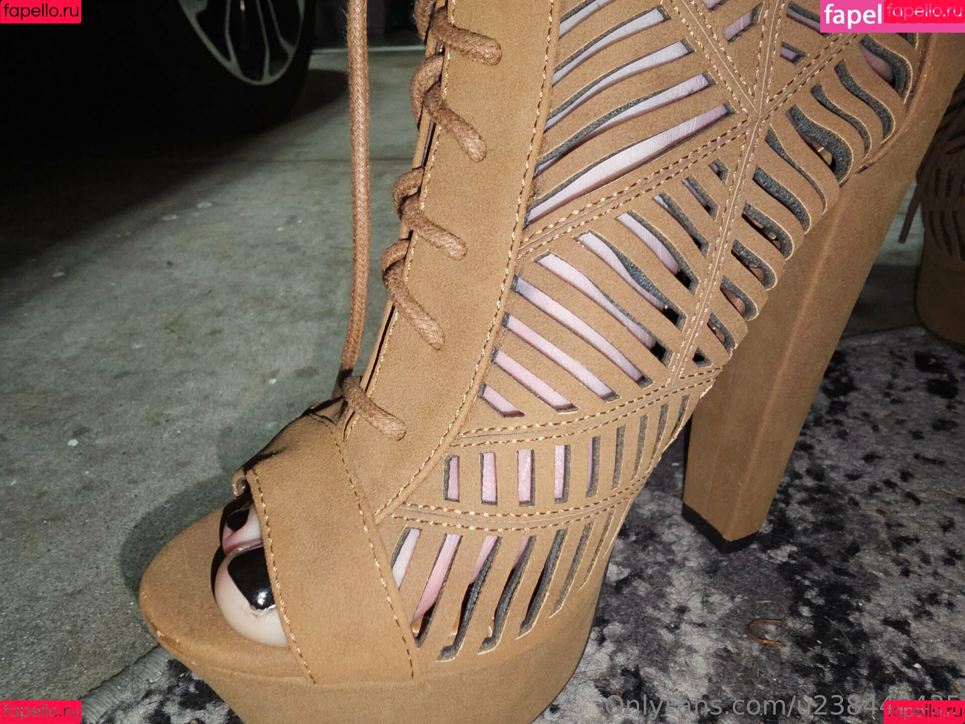 u238446435 Onlyfans Photo Gallery 