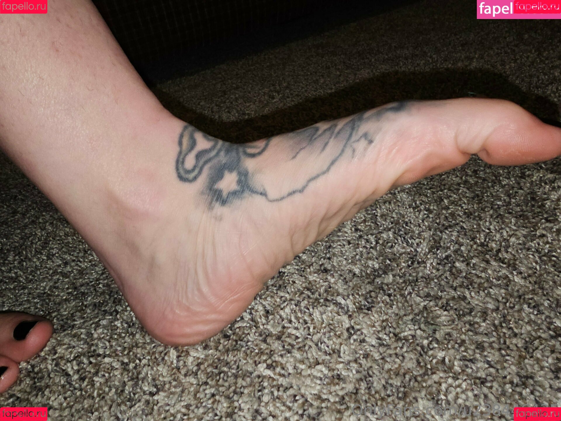 u238446435 Onlyfans Photo Gallery 