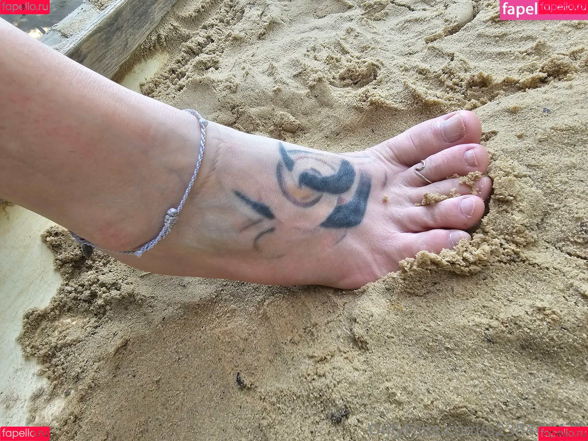 u238446435 Onlyfans Photo Gallery 