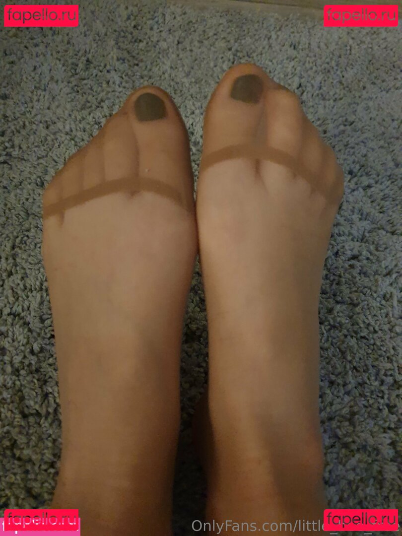 little_bee_free Nude Onlyfans Photo 10