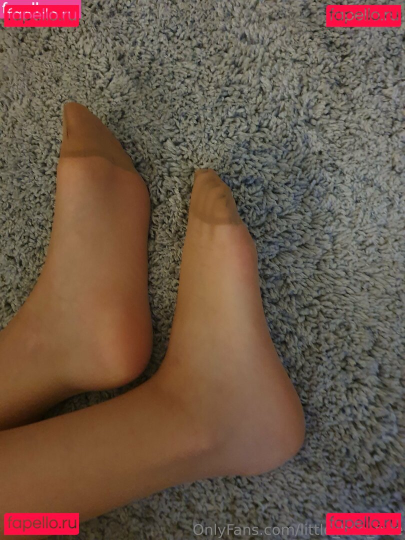 little_bee_free Nude Onlyfans Photo 9