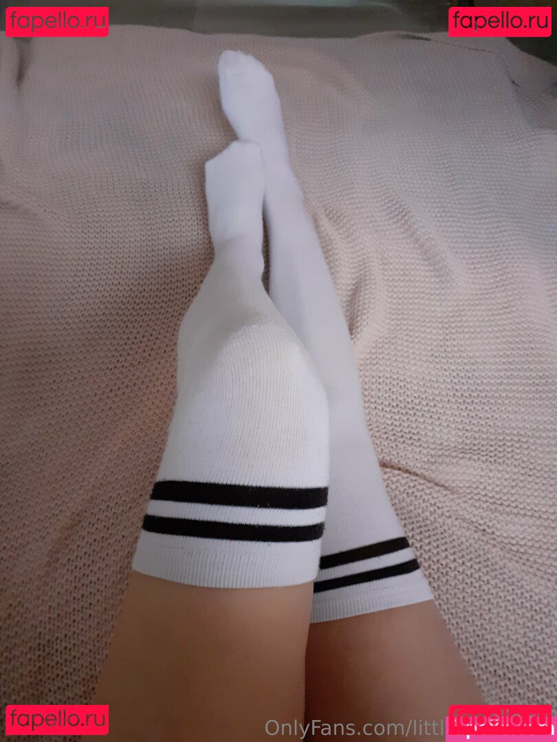 little_bee_free Nude Onlyfans Photo 3