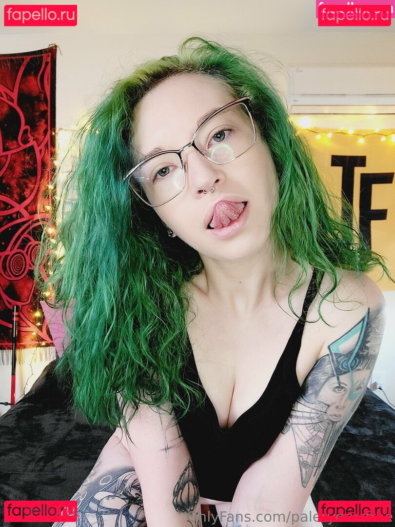 paleryderrfree Nude Onlyfans Photo 15