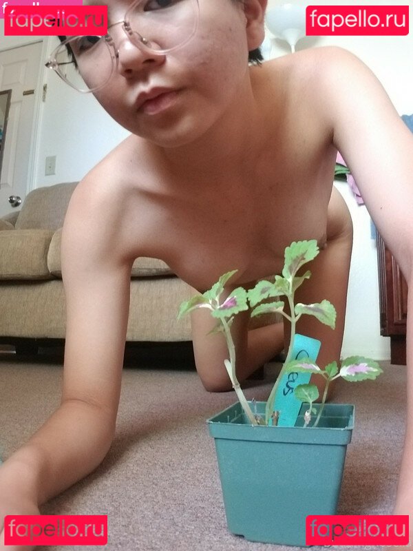 buddingroselia Nude Onlyfans Photo 33