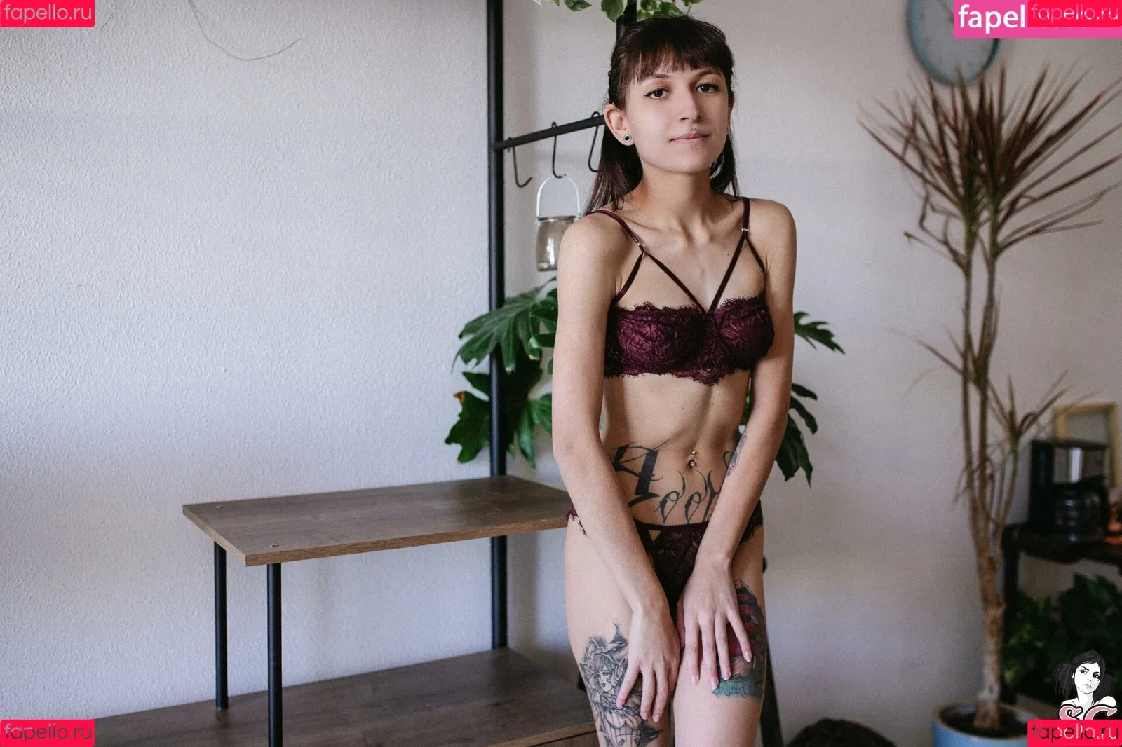 Wingsweak Onlyfans Photo Gallery 