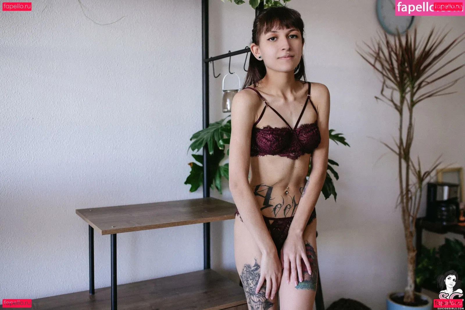 Wingsweak Onlyfans Photo Gallery 