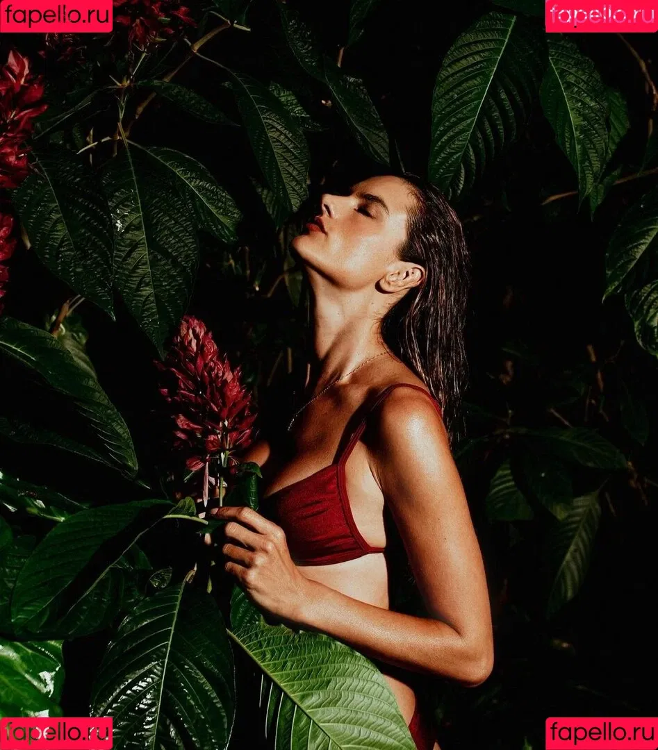 Alessandra Ambrosio Onlyfans Photo Gallery 
