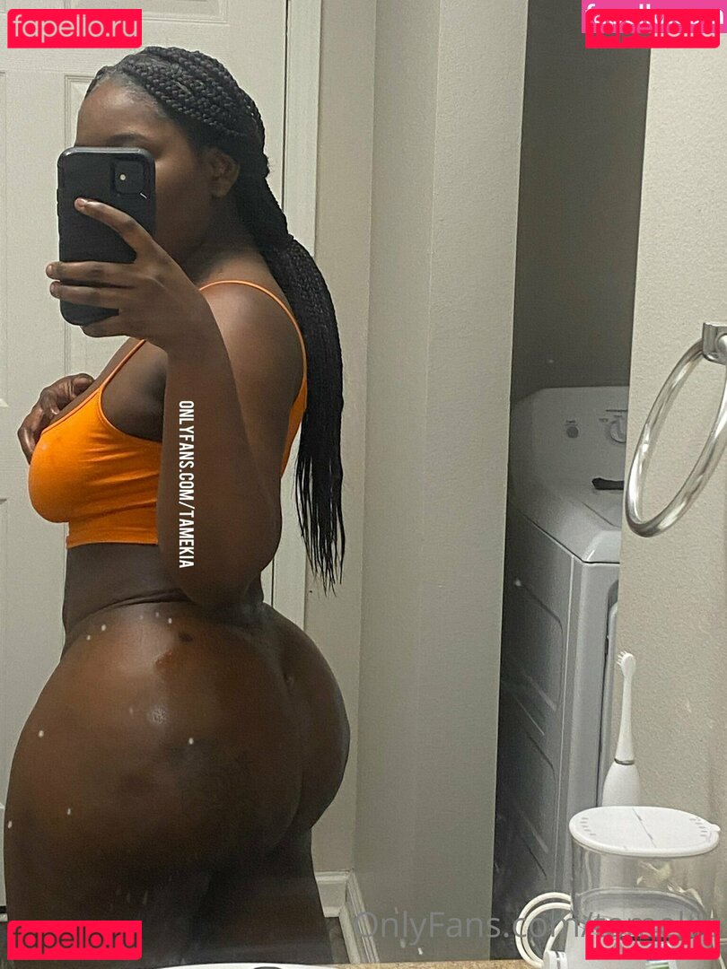 Tamekia Nude Onlyfans Photo 39