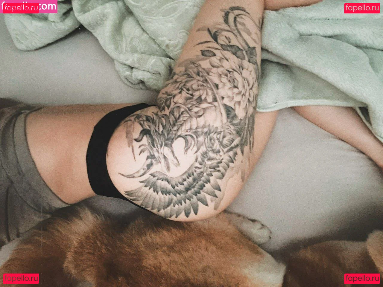 Ksenia Modestal Onlyfans Photo Gallery 