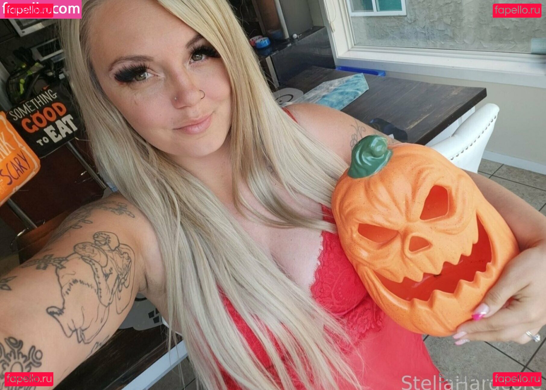 stellacoffin Nude Onlyfans Photo 17