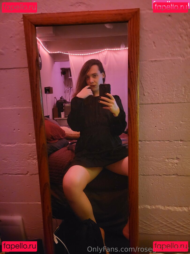 rosegoldember Nude Onlyfans Photo 47