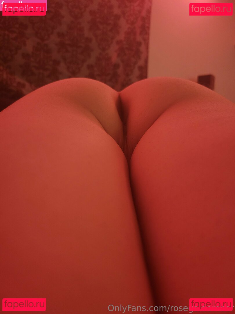 rosegoldember Nude Onlyfans Photo 45