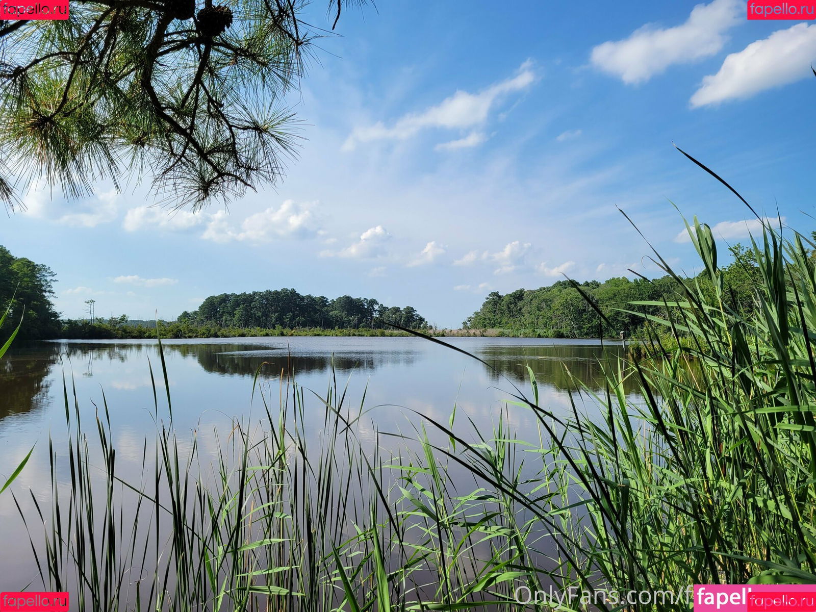 gingerhippie74 Onlyfans Photo Gallery 