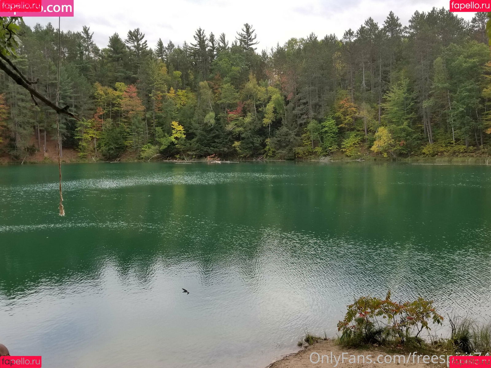 gingerhippie74 Onlyfans Photo Gallery 