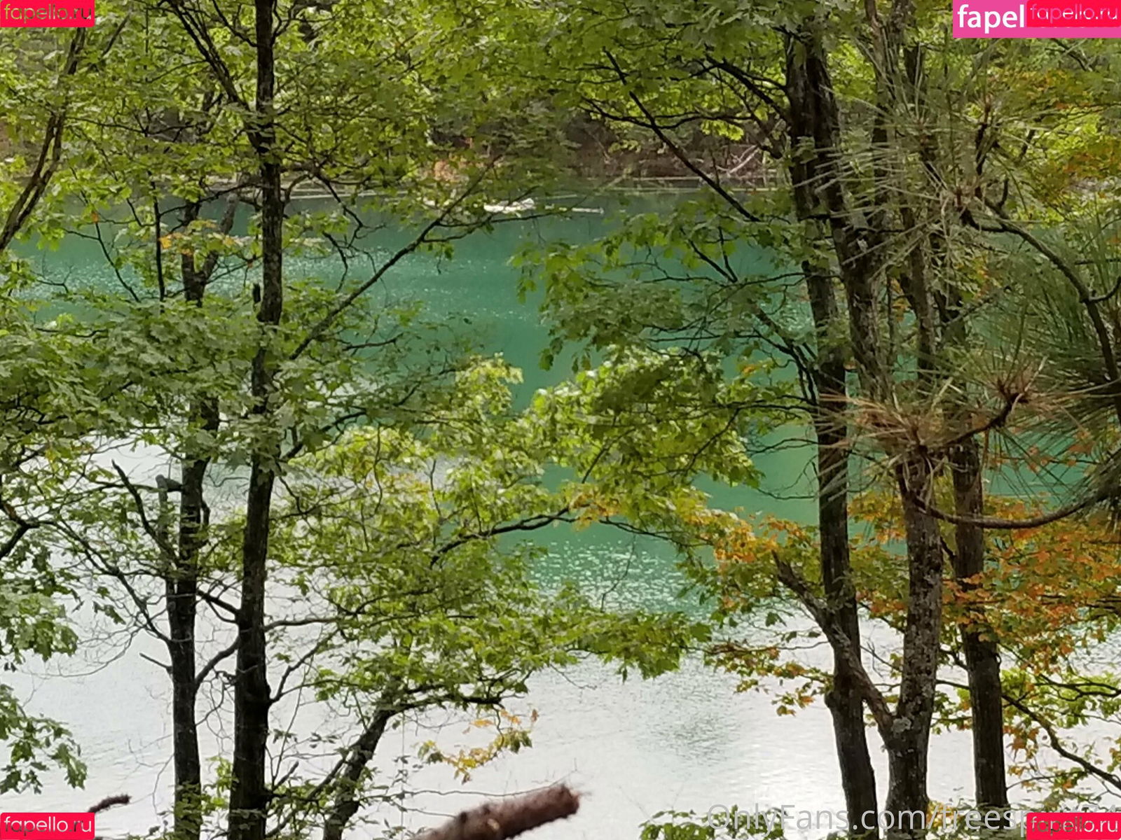 gingerhippie74 Onlyfans Photo Gallery 