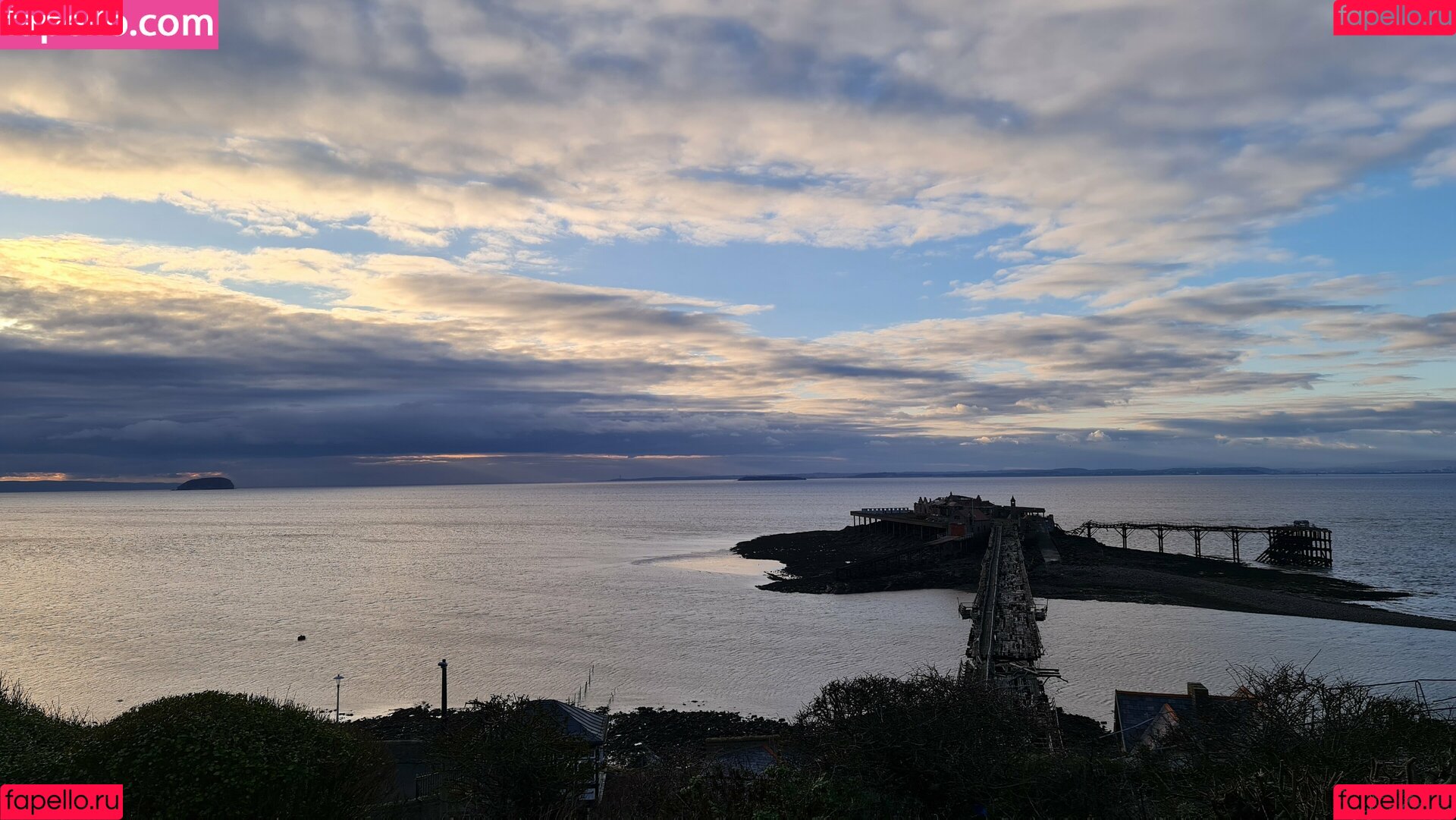 purplemiss Onlyfans Photo Gallery 