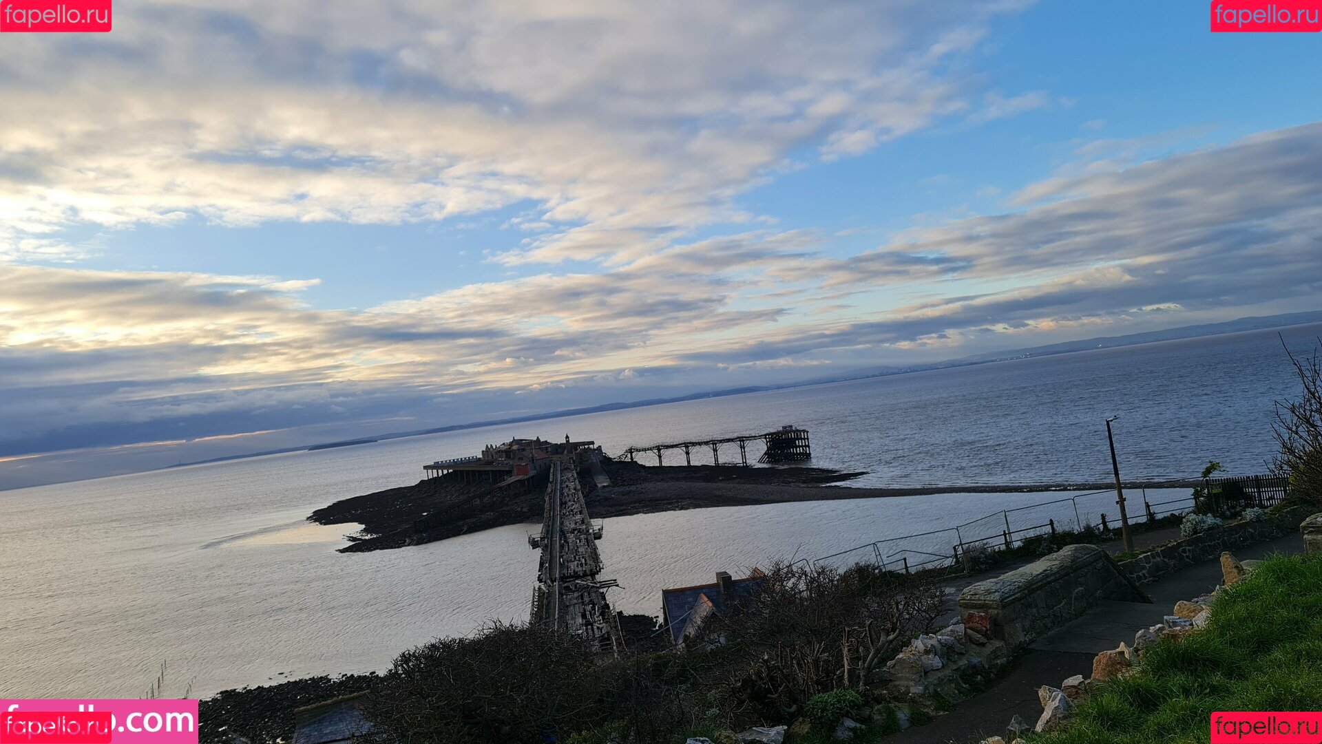 purplemiss Onlyfans Photo Gallery 