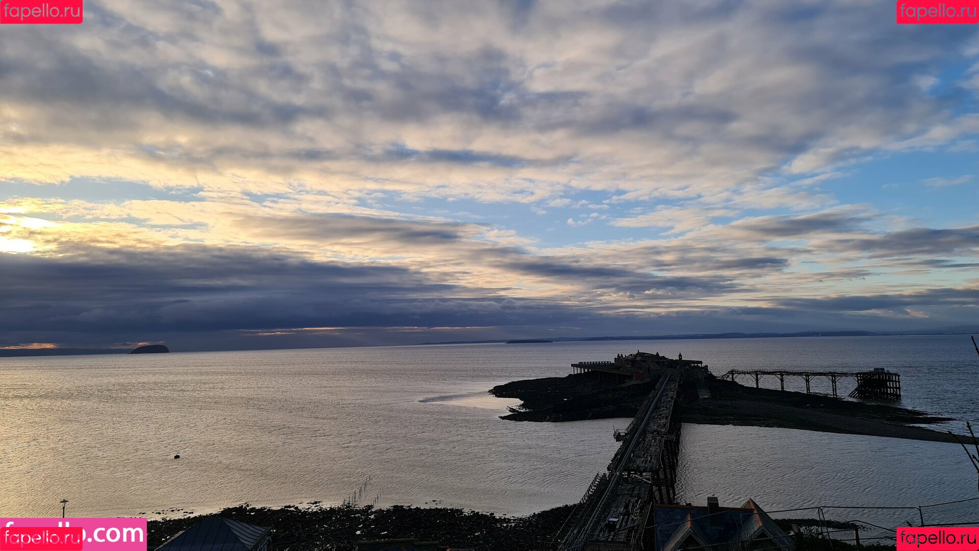 purplemiss Onlyfans Photo Gallery 