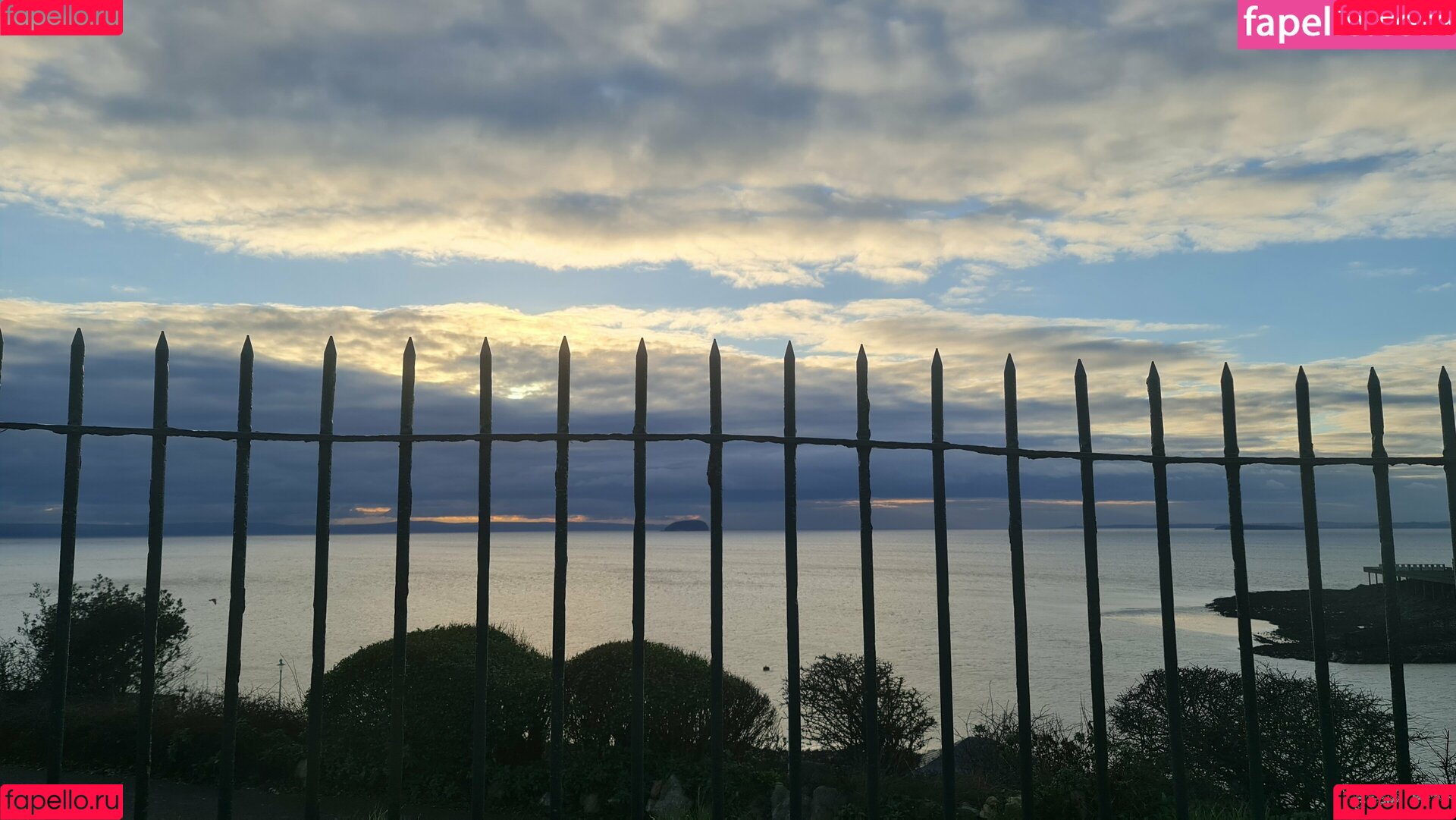 purplemiss Onlyfans Photo Gallery 