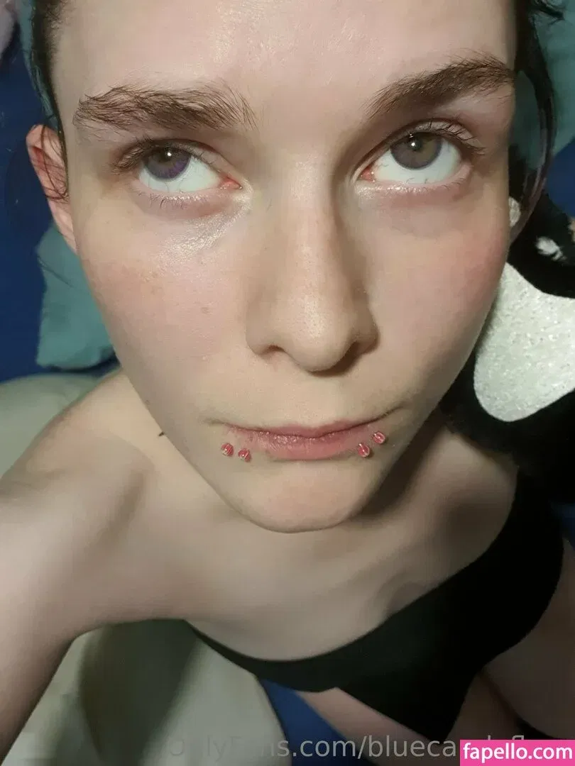 bluecandyfloss Onlyfans Photo Gallery 