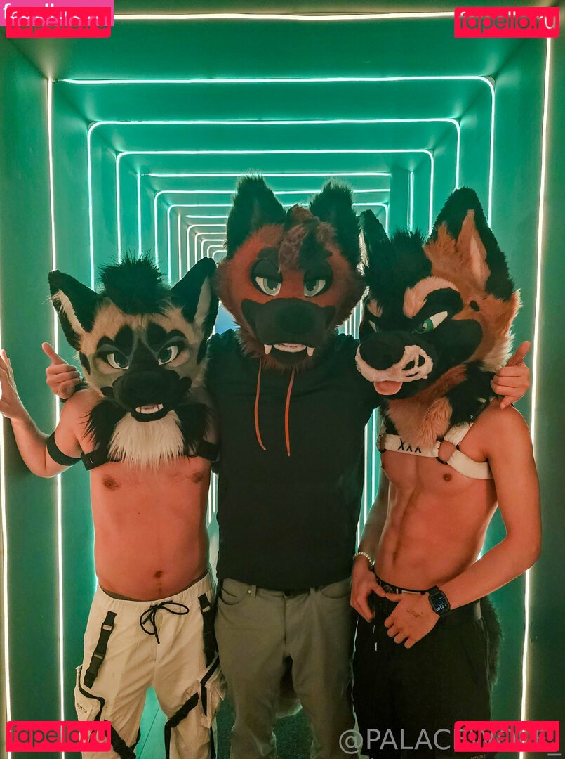 palacewolf Nude Onlyfans Photo 41