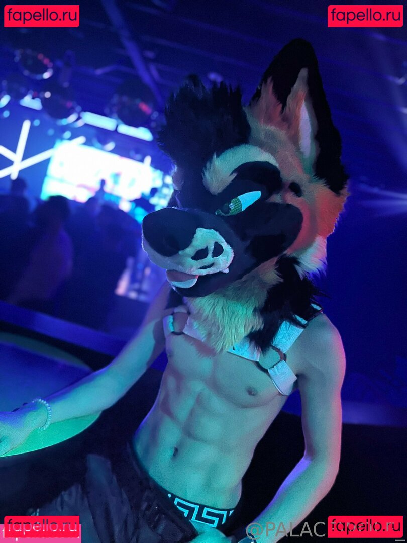 palacewolf Nude Onlyfans Photo 40