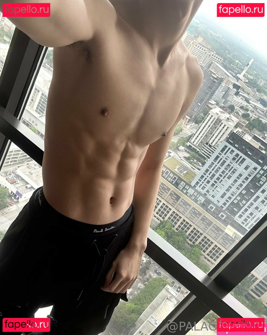 palacewolf Nude Onlyfans Photo 28