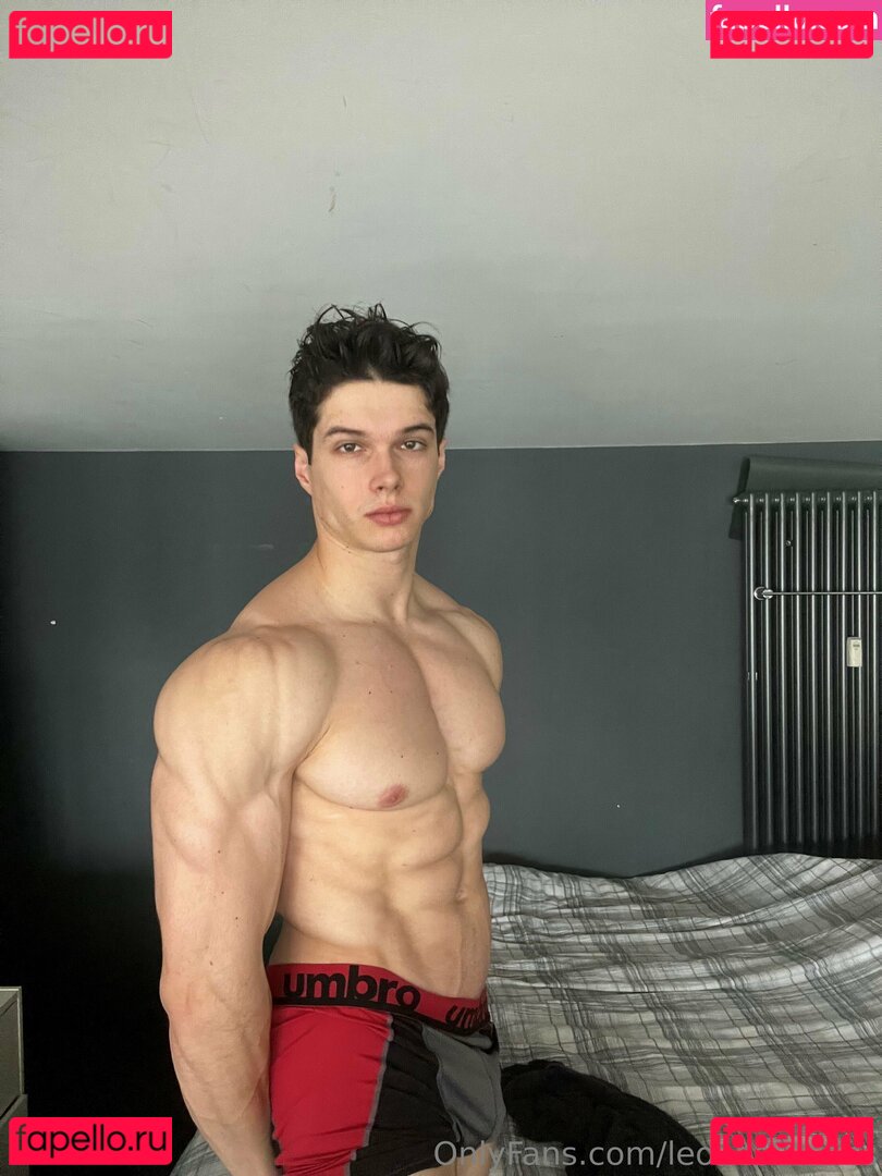 leoaesthetics Nude Onlyfans Photo 26