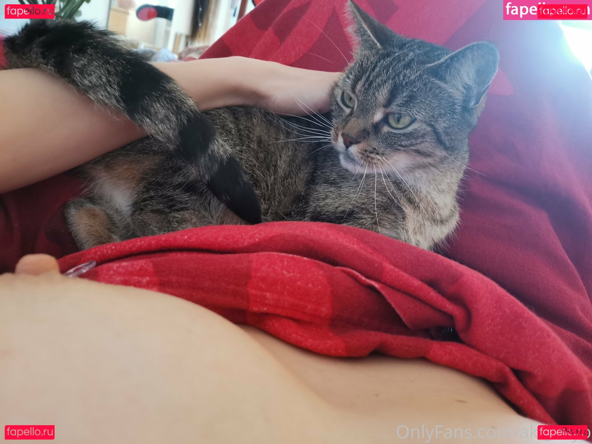 Aki Taiyo Nude Onlyfans Photo 25