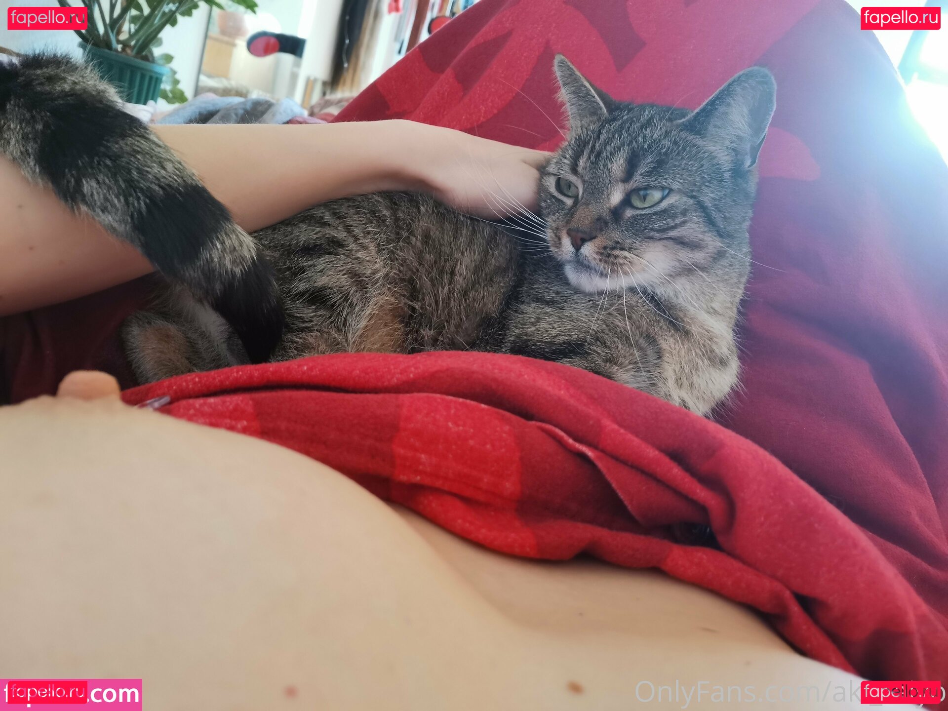 Aki Taiyo Nude Onlyfans Photo 22