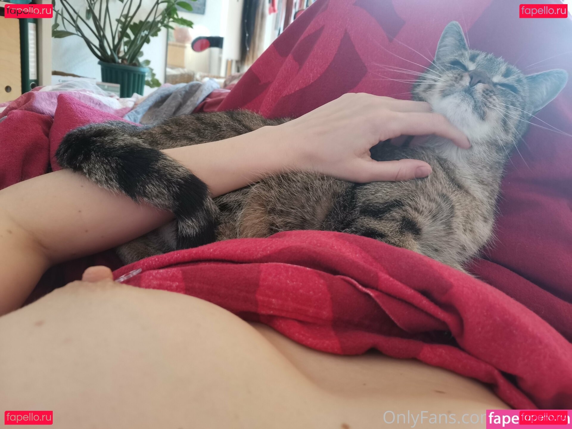 Aki Taiyo Nude Onlyfans Photo 21