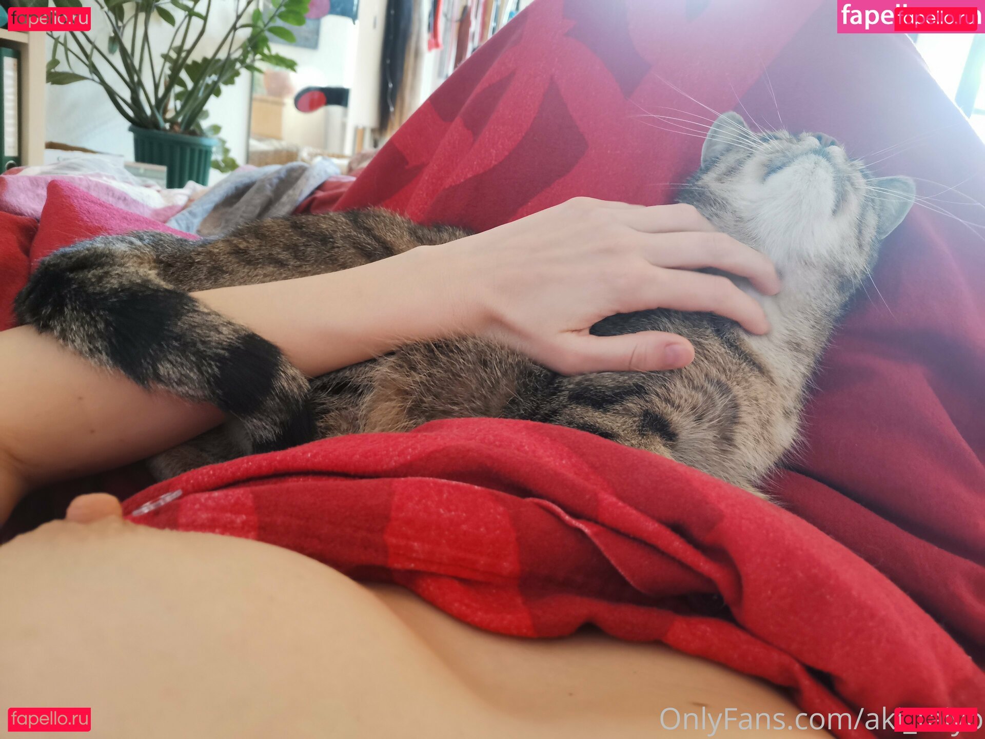 Aki Taiyo Nude Onlyfans Photo 20