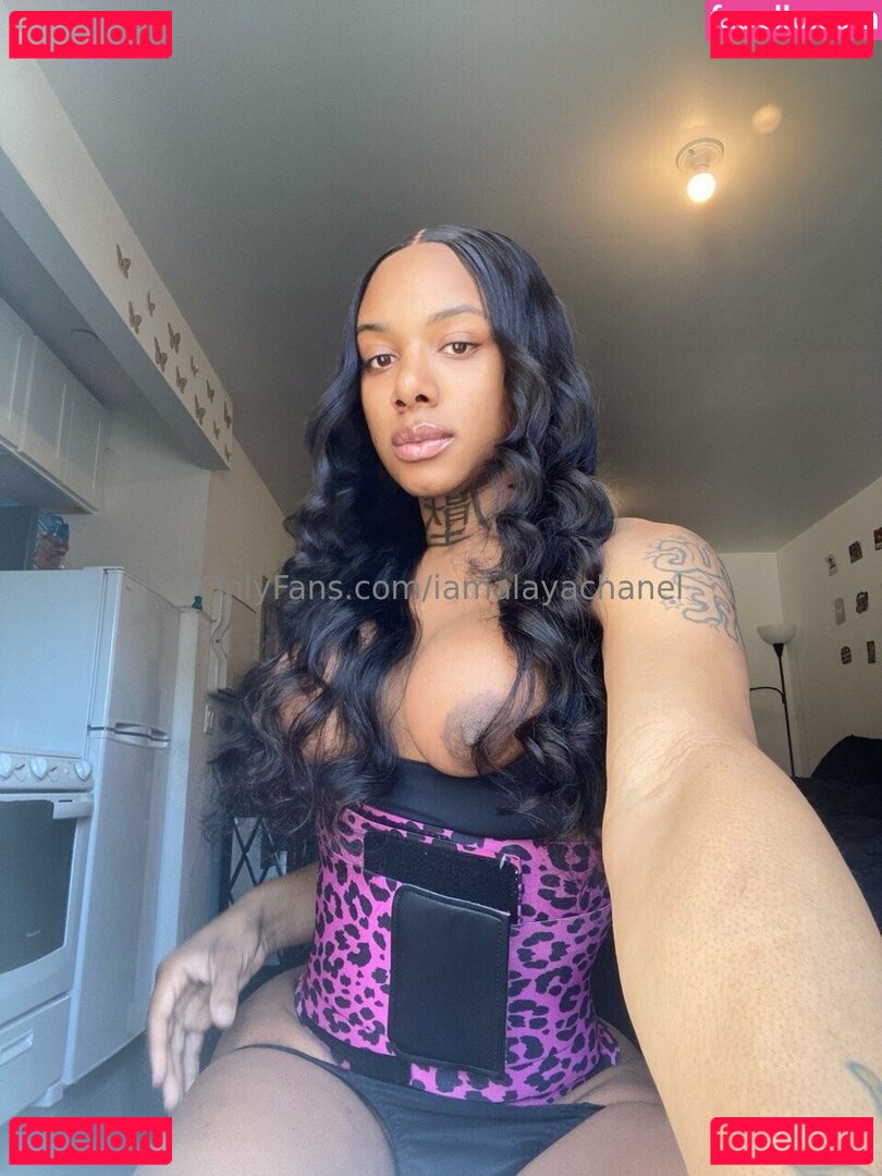 iamalayachanel Nude Onlyfans Photo 39