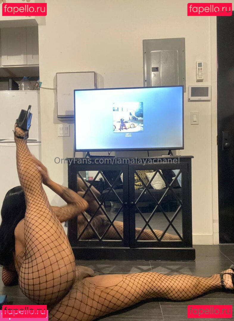 iamalayachanel Nude Onlyfans Photo 22
