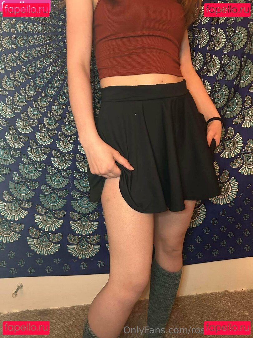 roselinaaaaa Nude Onlyfans Photo 12