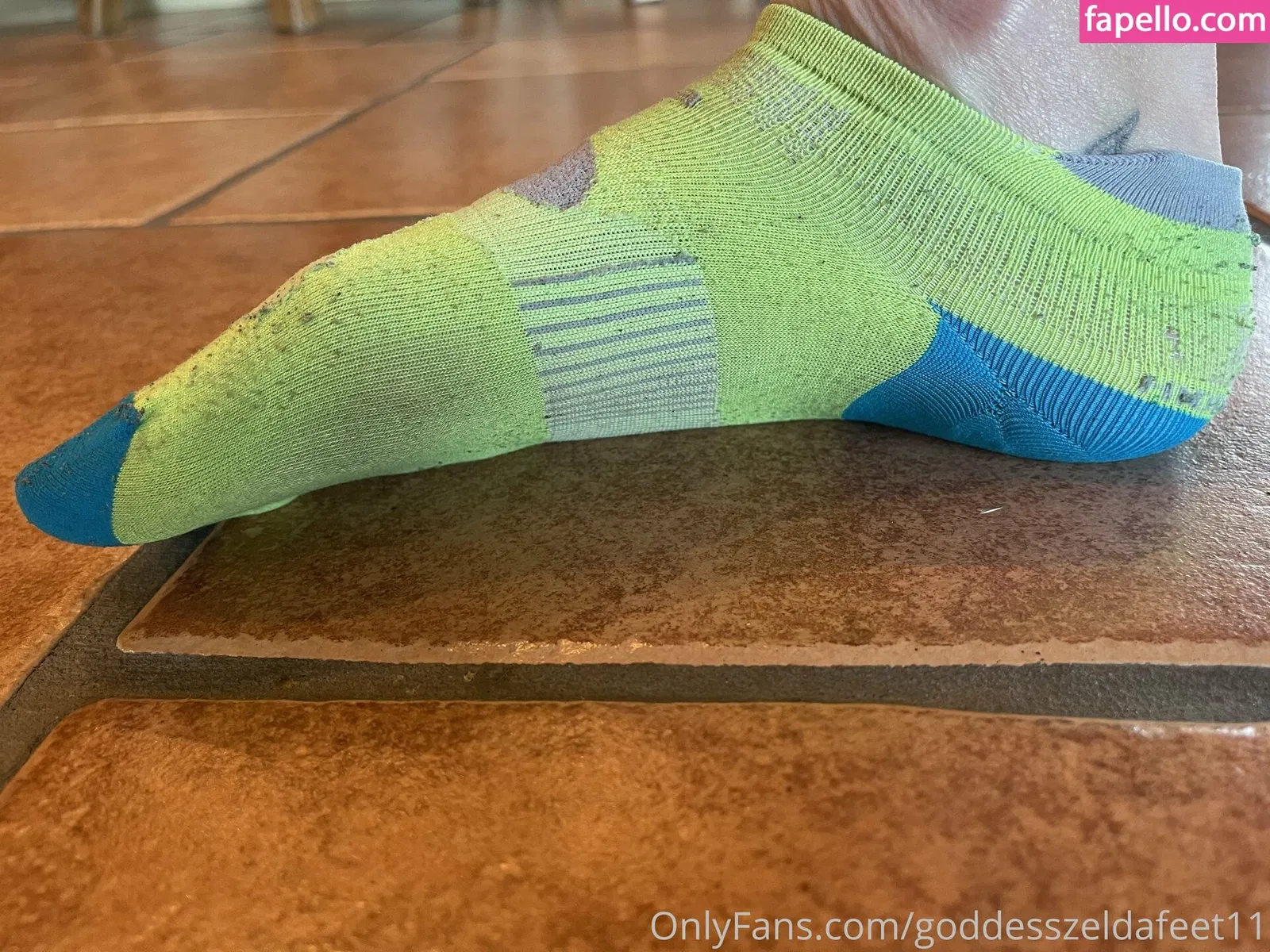 goddesszeldafeet11 Onlyfans Photo Gallery 