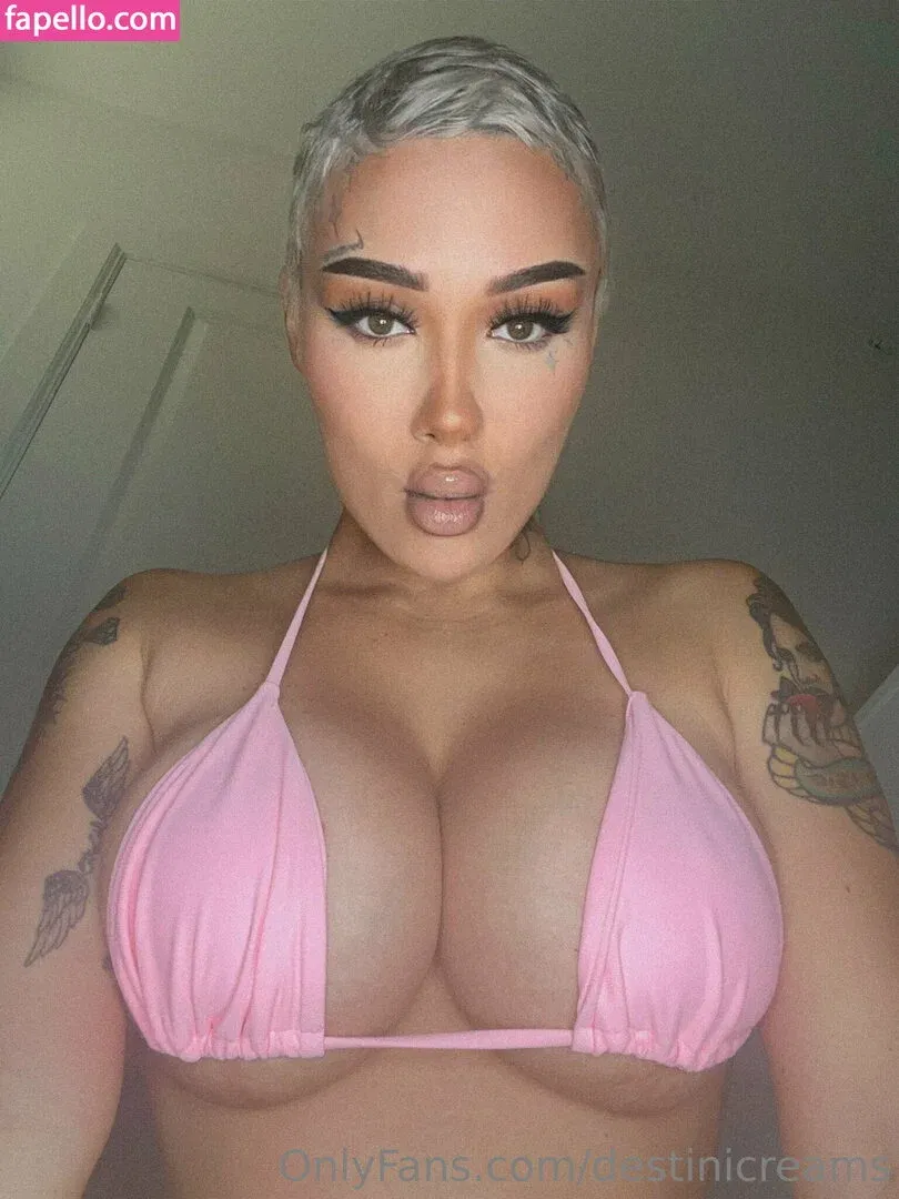 destinicreams Onlyfans Photo Gallery 