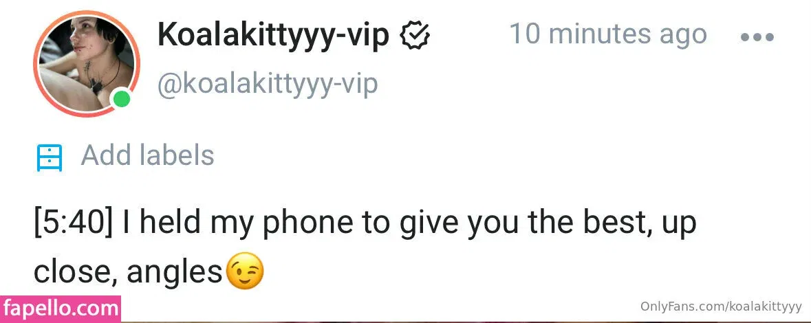 koalakittyyy Onlyfans Photo Gallery 