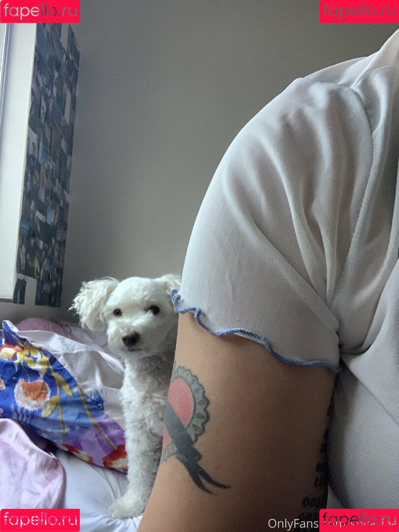 Soyacide Onlyfans Photo Gallery 